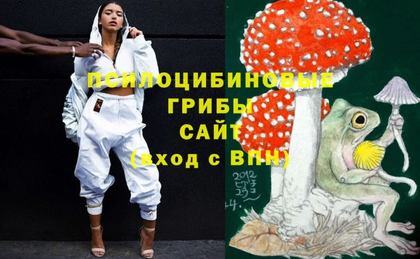 бошки Вязьма