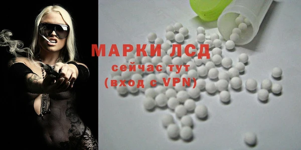 бошки Вязьма