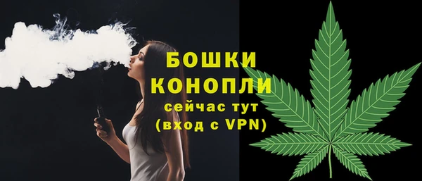бошки Вязьма