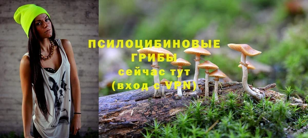 2c-b Волосово
